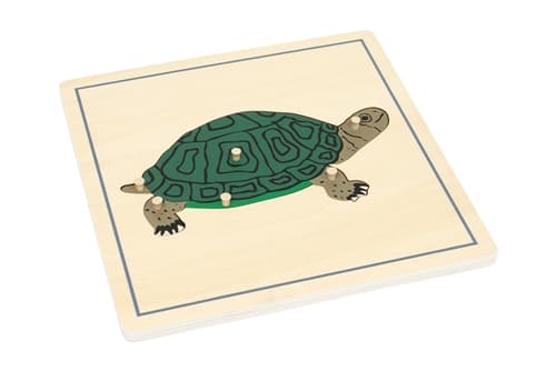 Parts of a Tortoise Puzzle and Cards (3-6)
