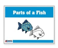 Parts of a Fish Control Booklet