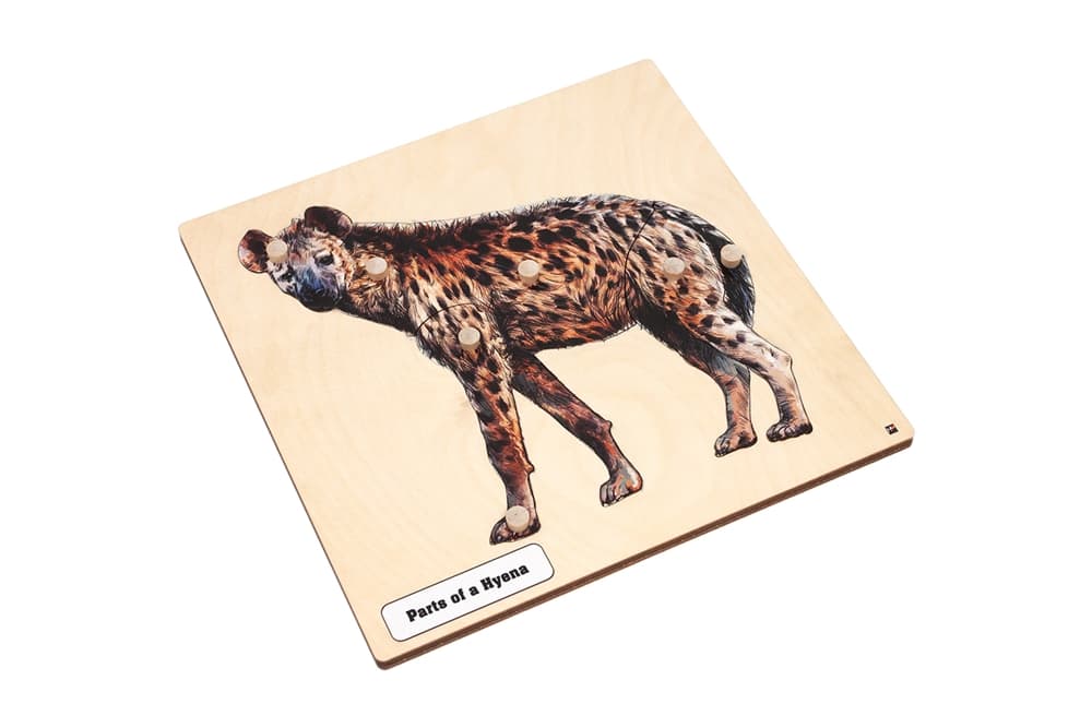 Parts of a Hyena Puzzle & Nomenclature Cards (3-6)