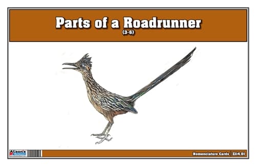 Parts of a Roadrunner