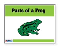 Parts of a Frog Control Booklet