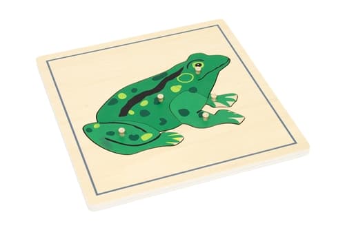 Parts of a Frog Puzzle and Cards (3-6) (Printed)