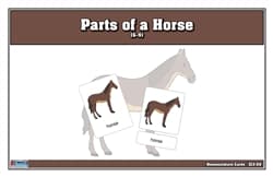 Parts of a Horse Nomenclature Cards (6-9)