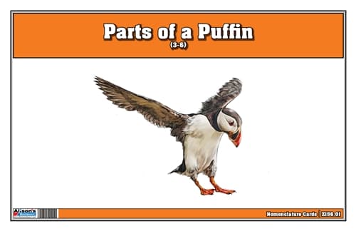 Parts of a Puffin Three Part Cards (3-6)