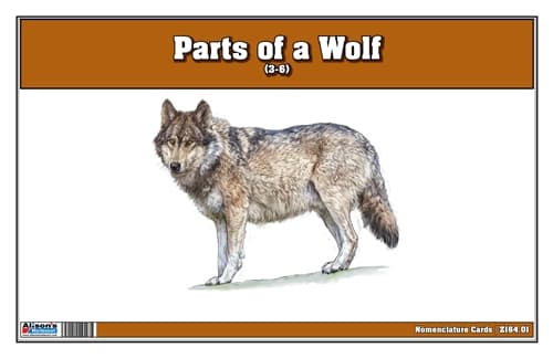 Parts of a Wolf Three Part Cards (3-6)