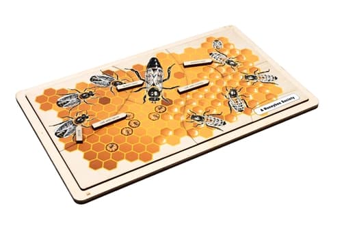 A Honeybee Society Puzzle and Cards (6-9)