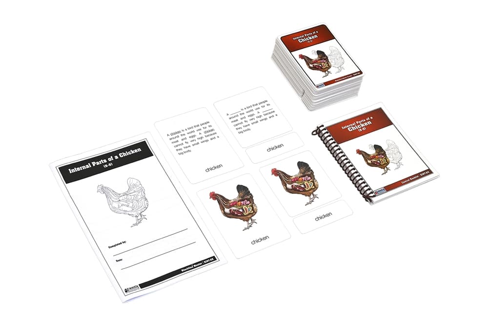 Chicken Internal Parts – Nomenclature (6–9)