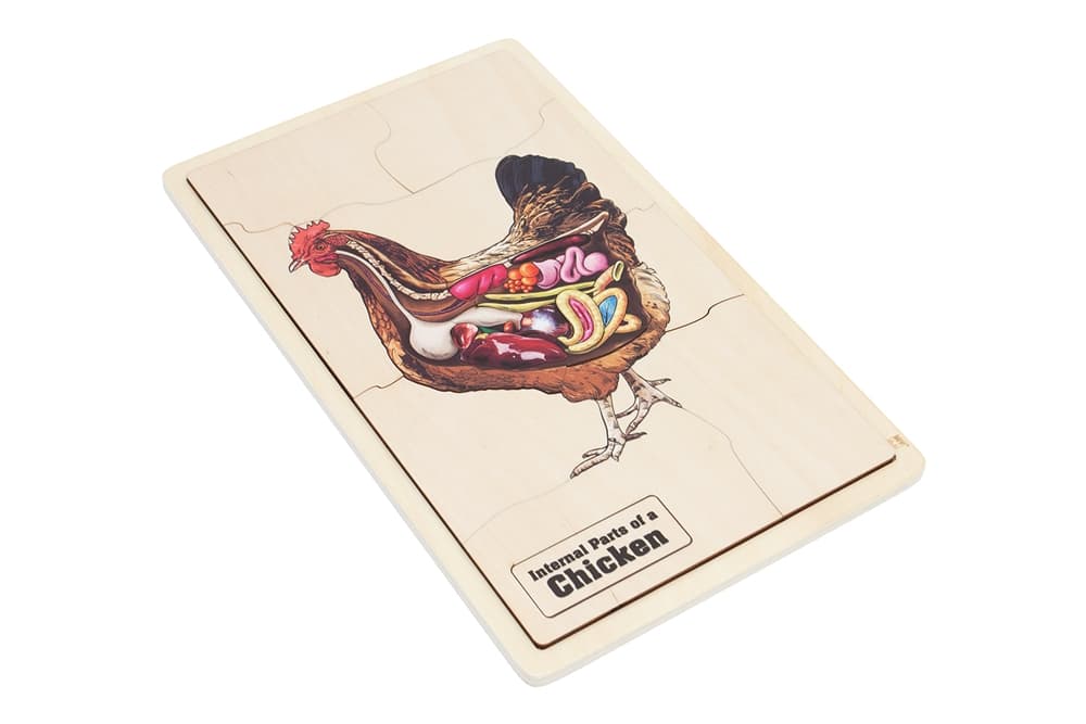 Internal Parts of a Chicken Puzzle