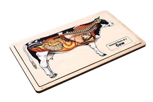 Internal Parts of a Cow Puzzle and Cards (3-6)