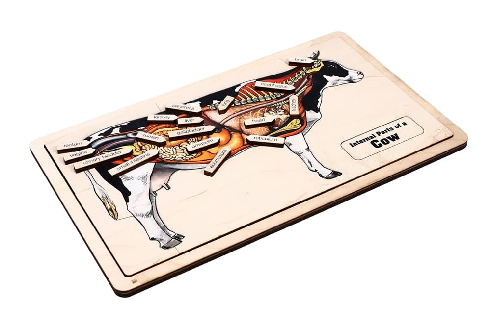 Internal Parts of a Cow Puzzle