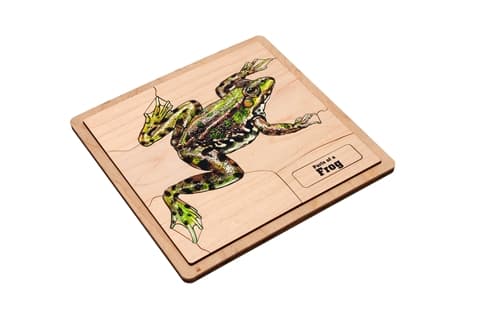 Frog Puzzle with Nomenclature Cards (6–9)