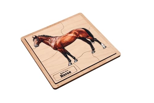 Horse Puzzle with Nomenclature Cards