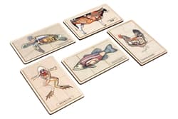 Vertebrate Puzzles – Internal Parts (Set of 5)