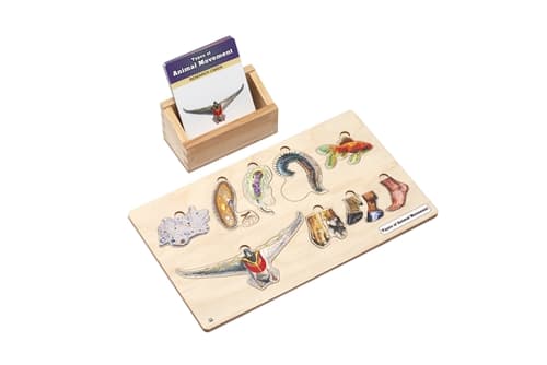 Types of Animal Movement Set