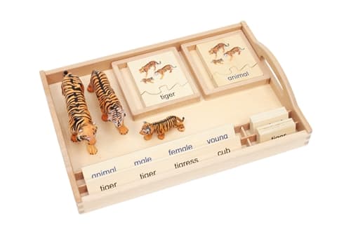 Animal Family - Tiger