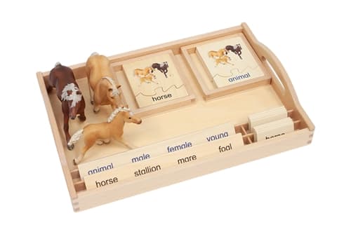 Animal Family - Horse