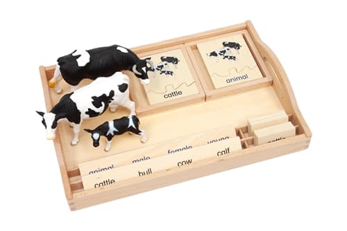 Animal Family - Cattle