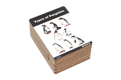 Penguins Wooden Nomenclature Cards (3-6)