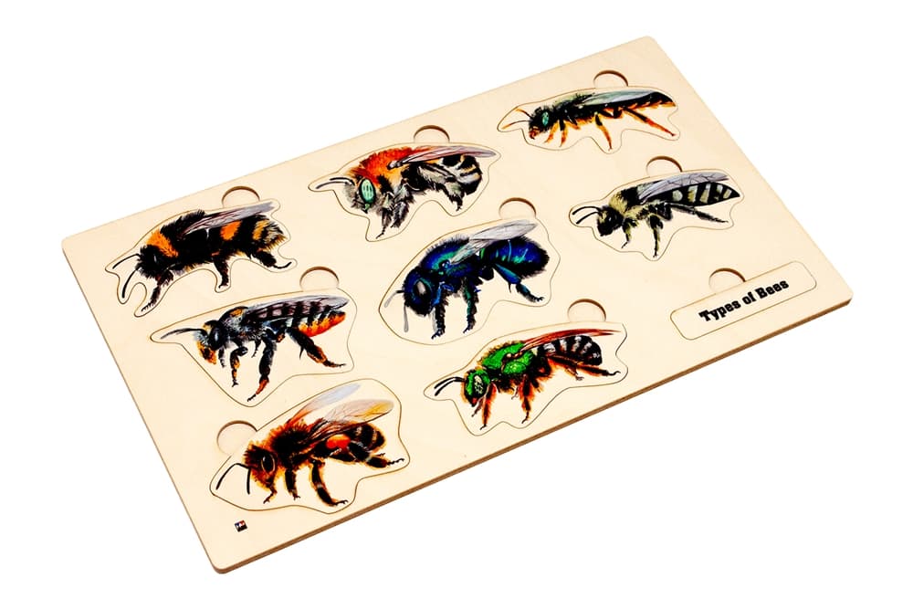 Types of Bees Puzzle & Nomenclature Cards 6-9