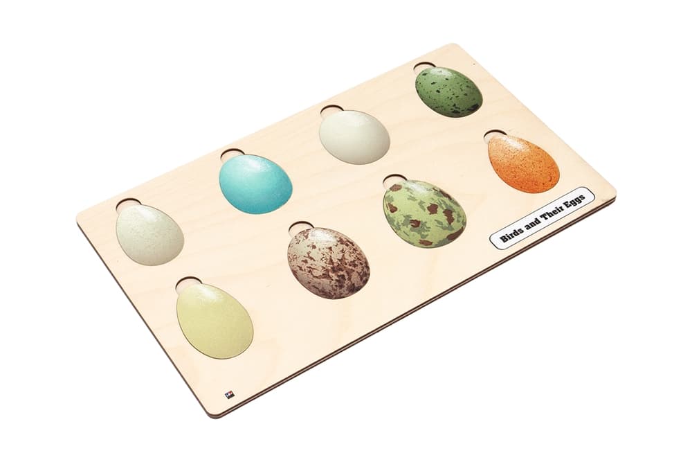 Birds and their Eggs Puzzle