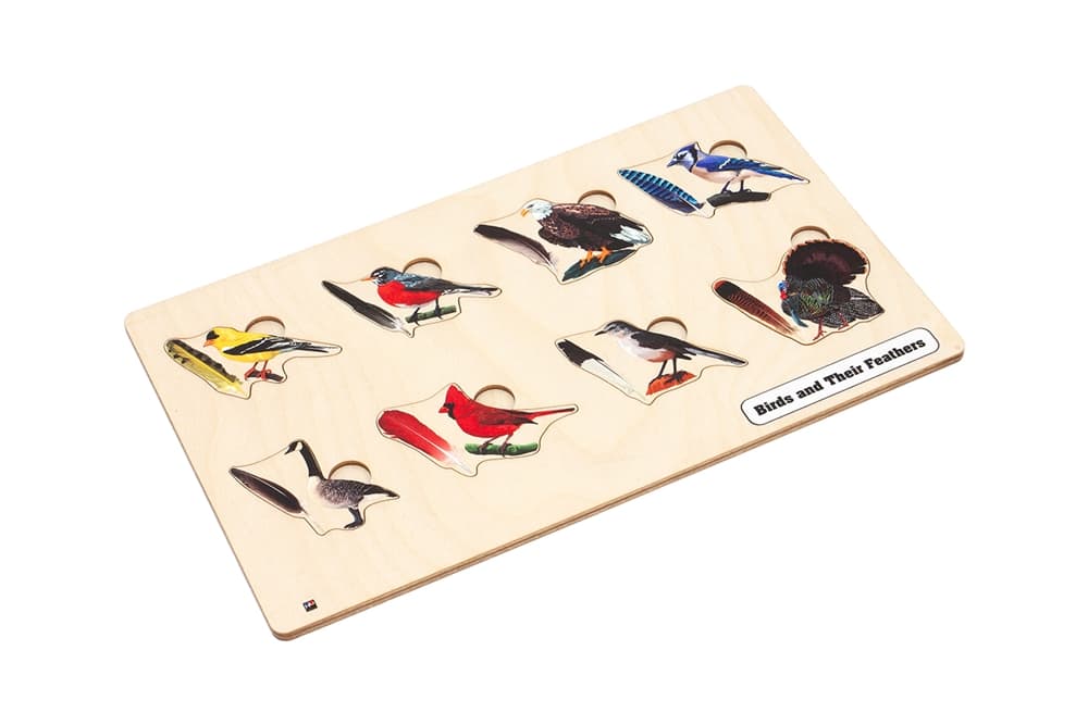 Birds and their Feathers Puzzle