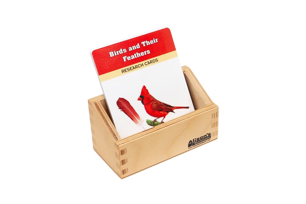Birds and their Feathers Research Cards