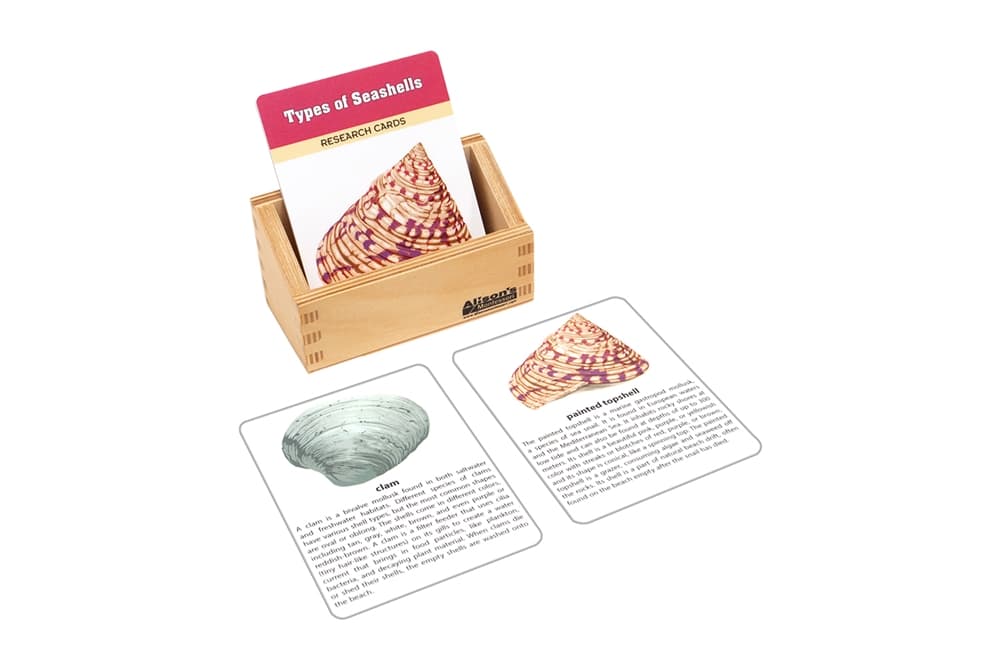 Types of Seashells Research Cards