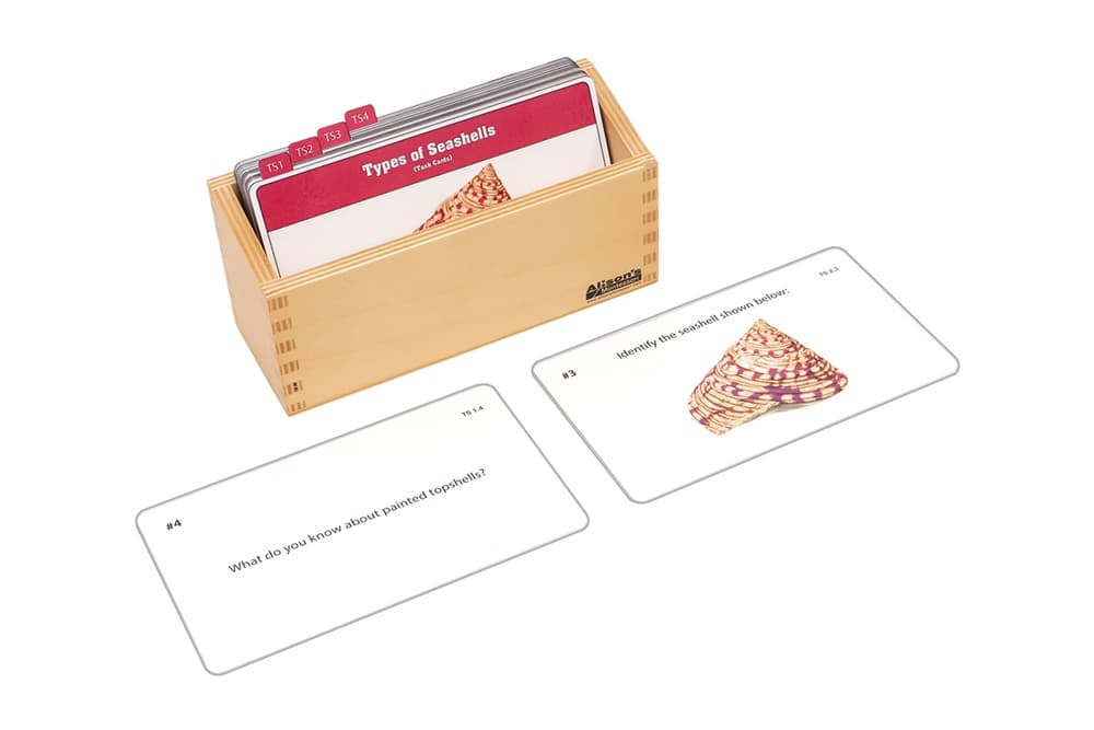 Types of Seashells Task Cards