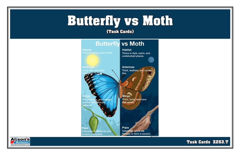 Butterfly vs Moth Task Cards