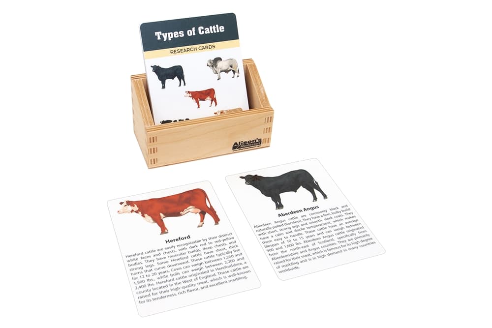 Types of Cattle Research Cards