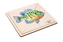 Fish Puzzle with Nomenclature Cards (3–6)