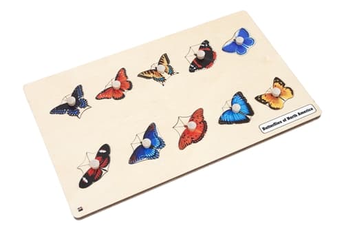 Butterflies of North America Puzzle
