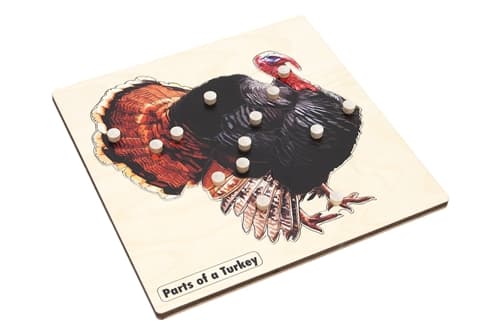Parts of a Turkey Puzzle