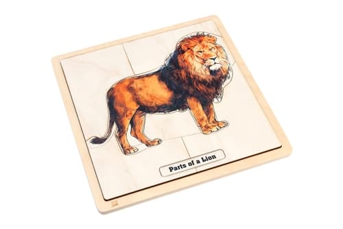 Lion Parts Puzzle – Ages 3–6 (Printed)