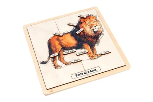 Parts of a Lion Puzzle