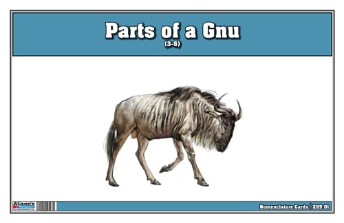 Parts of a Gnu Three Part Cards