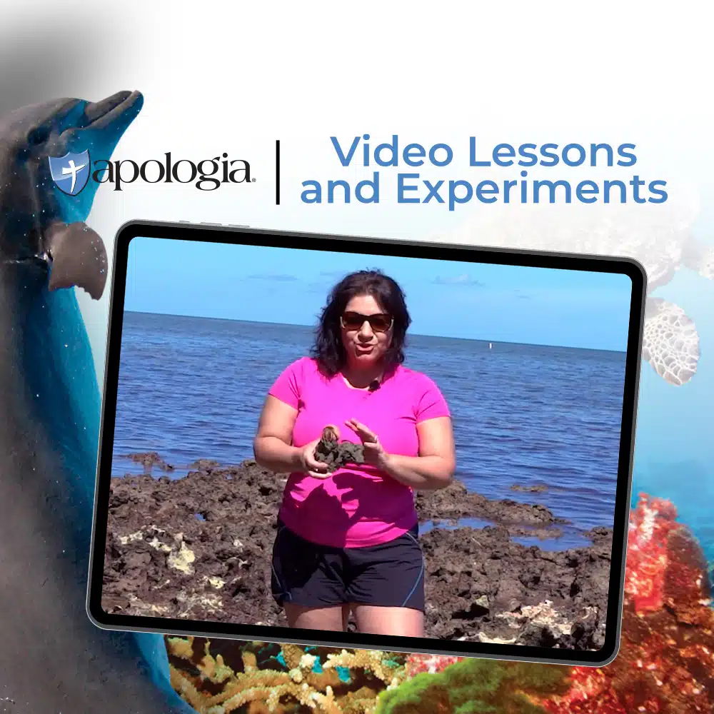 Marine Biology 2nd Ed Video Lessons & Experiments