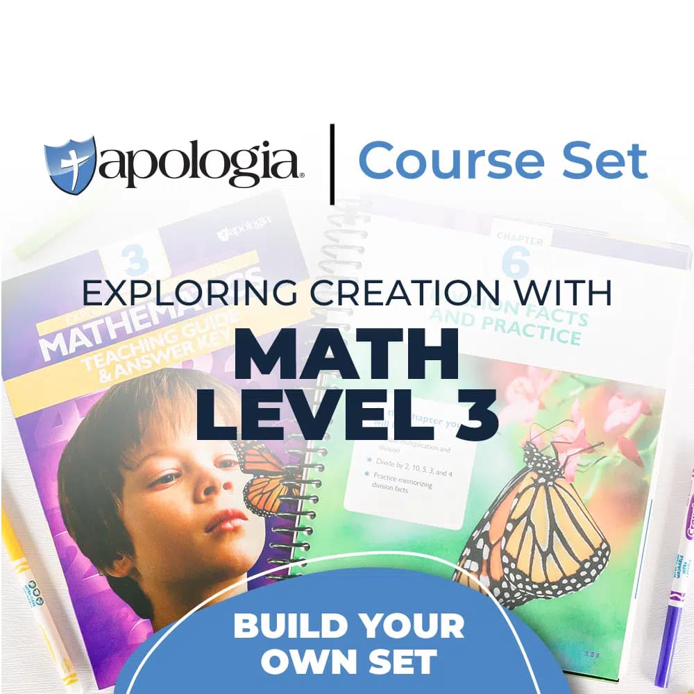Mathematics Level 3 Complete Set