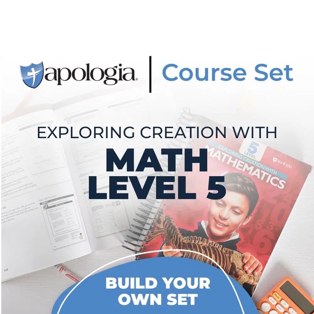 Mathematics Level 5 Complete Set
