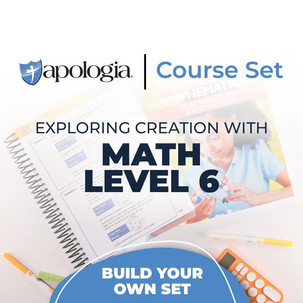 Mathematics Level 6 Complete Set