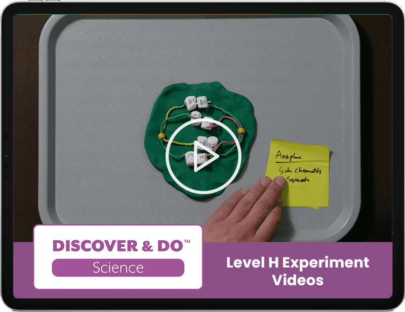 Discover & Do: Science H Experiment Videos