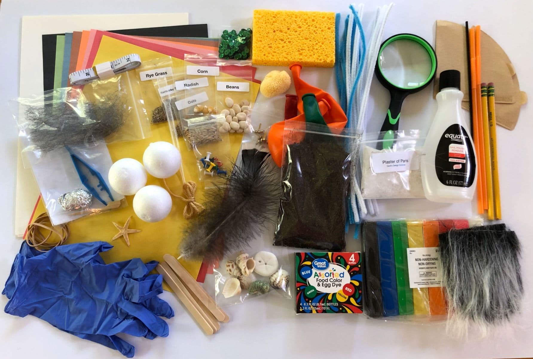 Life Lab Kit