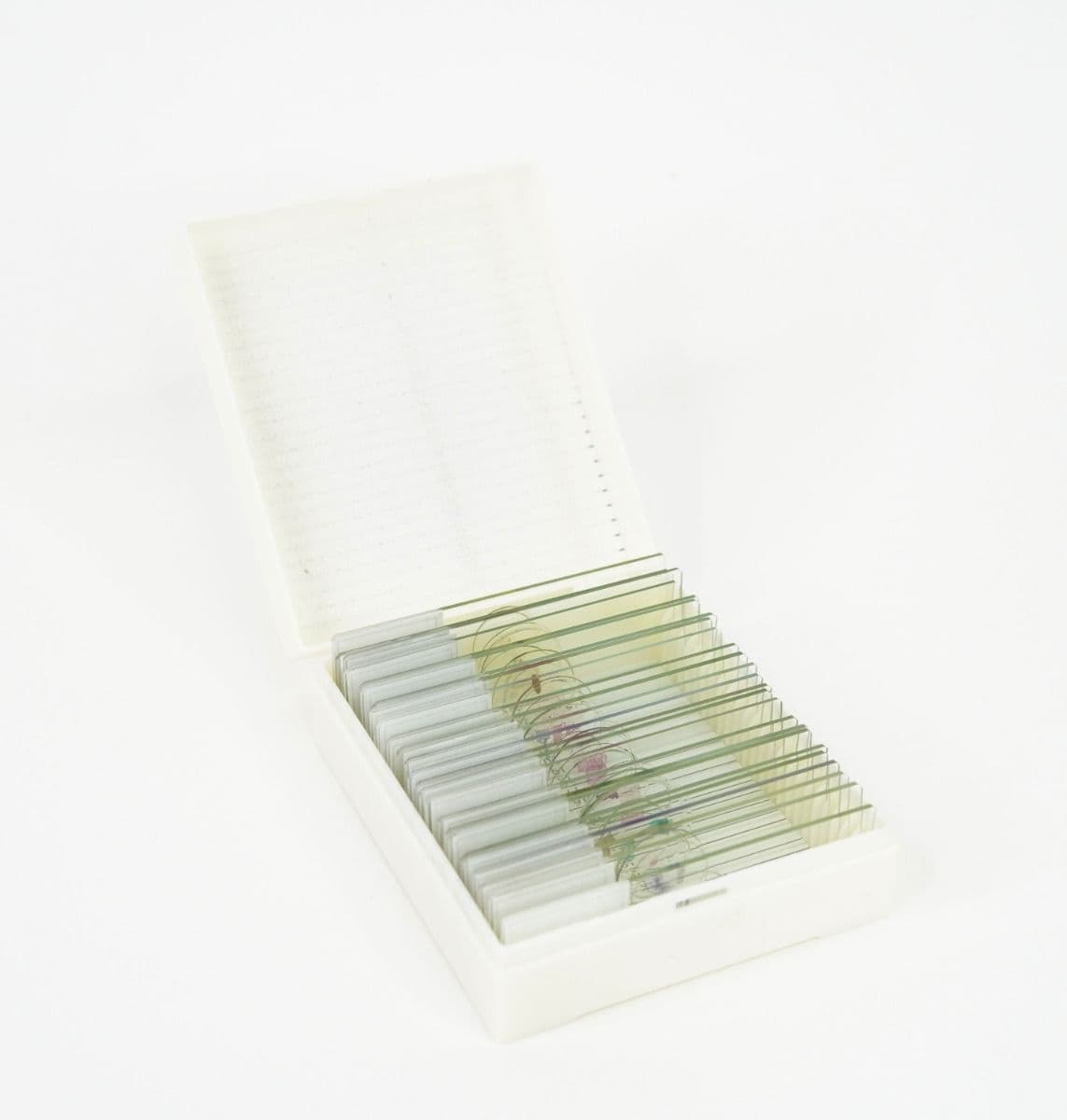 Masters Class Biology Slide Set