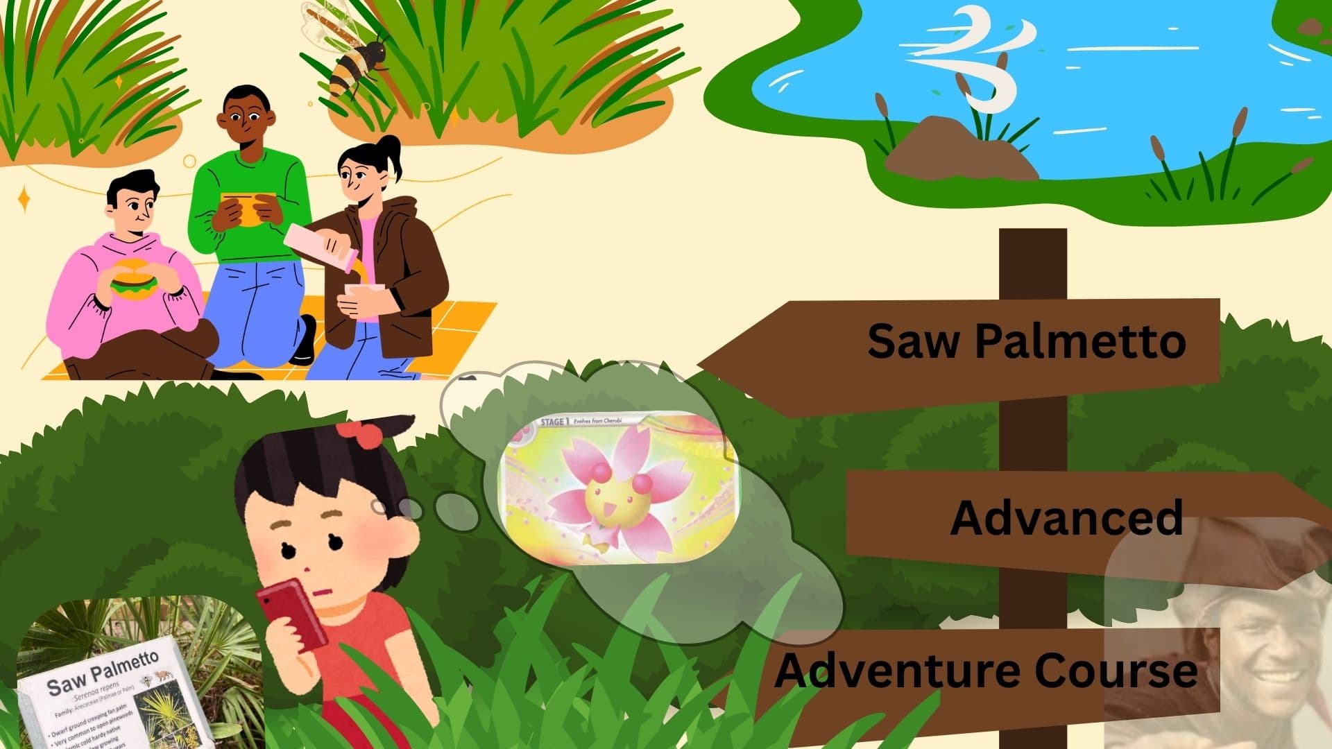Science & Nature Class - Saw Palmetto