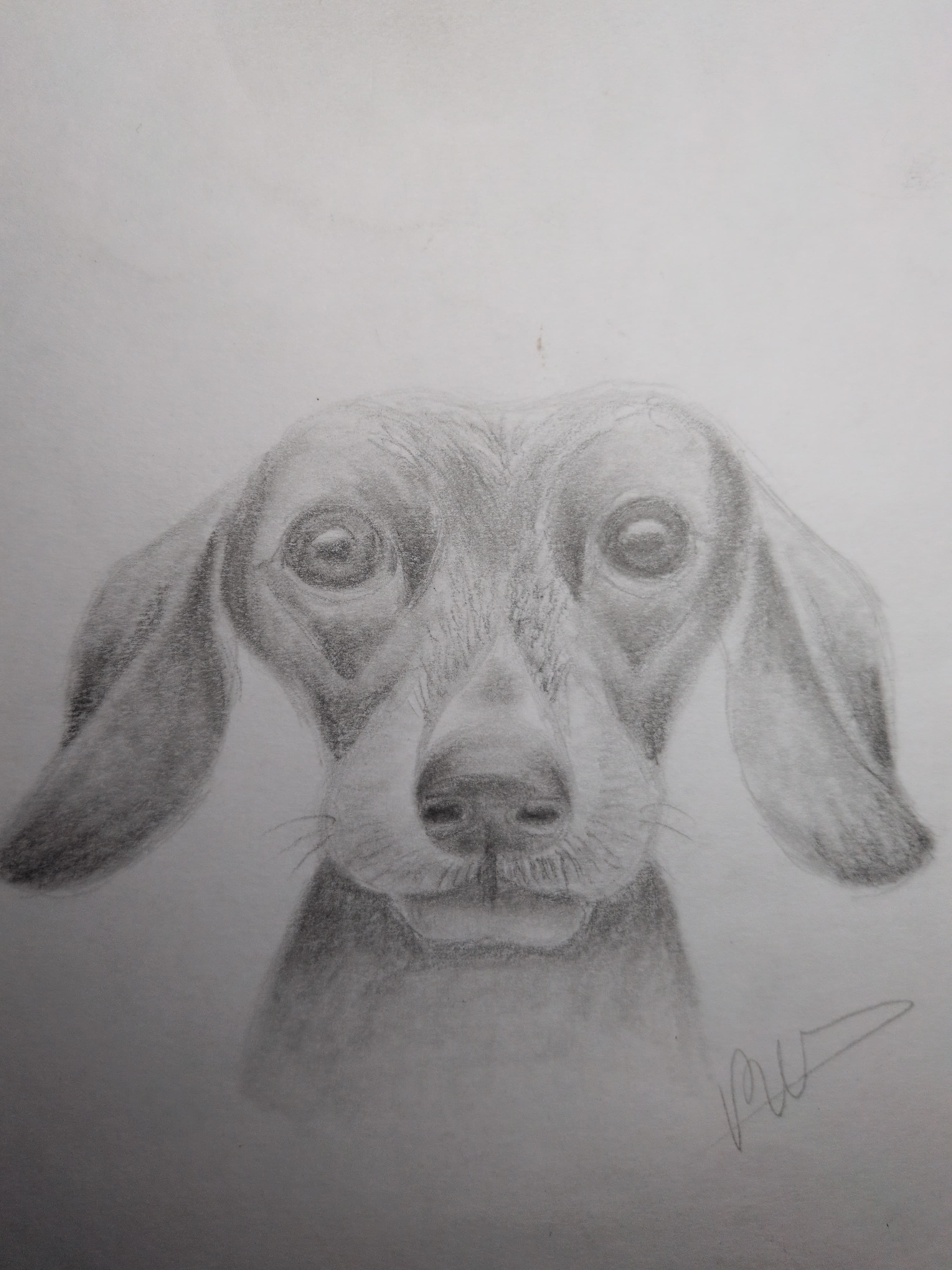 Art Class - Realistic Dog Drawing
