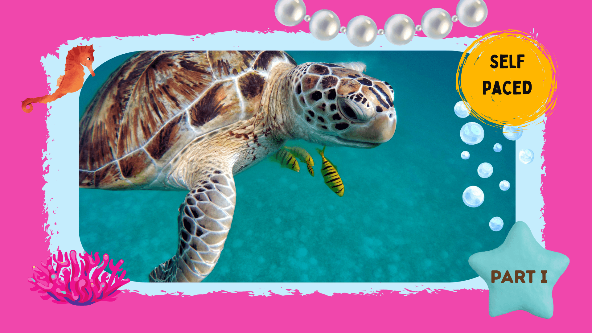 Science & Nature Class - Adv Marine Bio