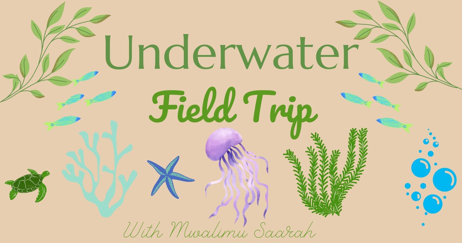 Science & Nature Class - Dive into Sea