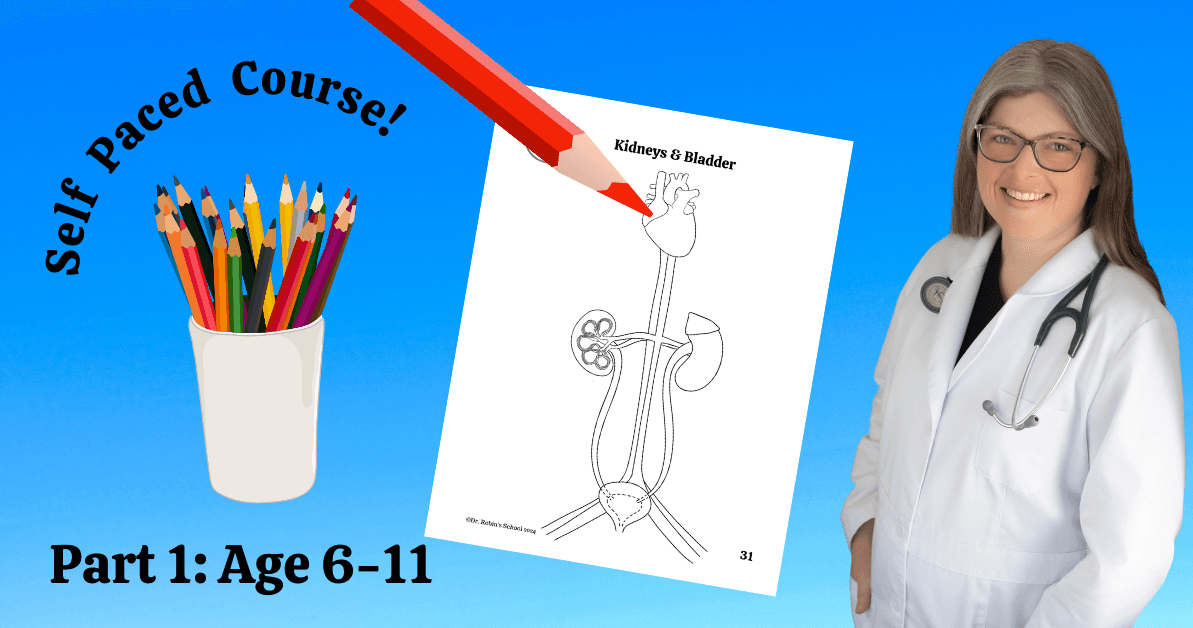 Science & Nature Class - Anatomy Art