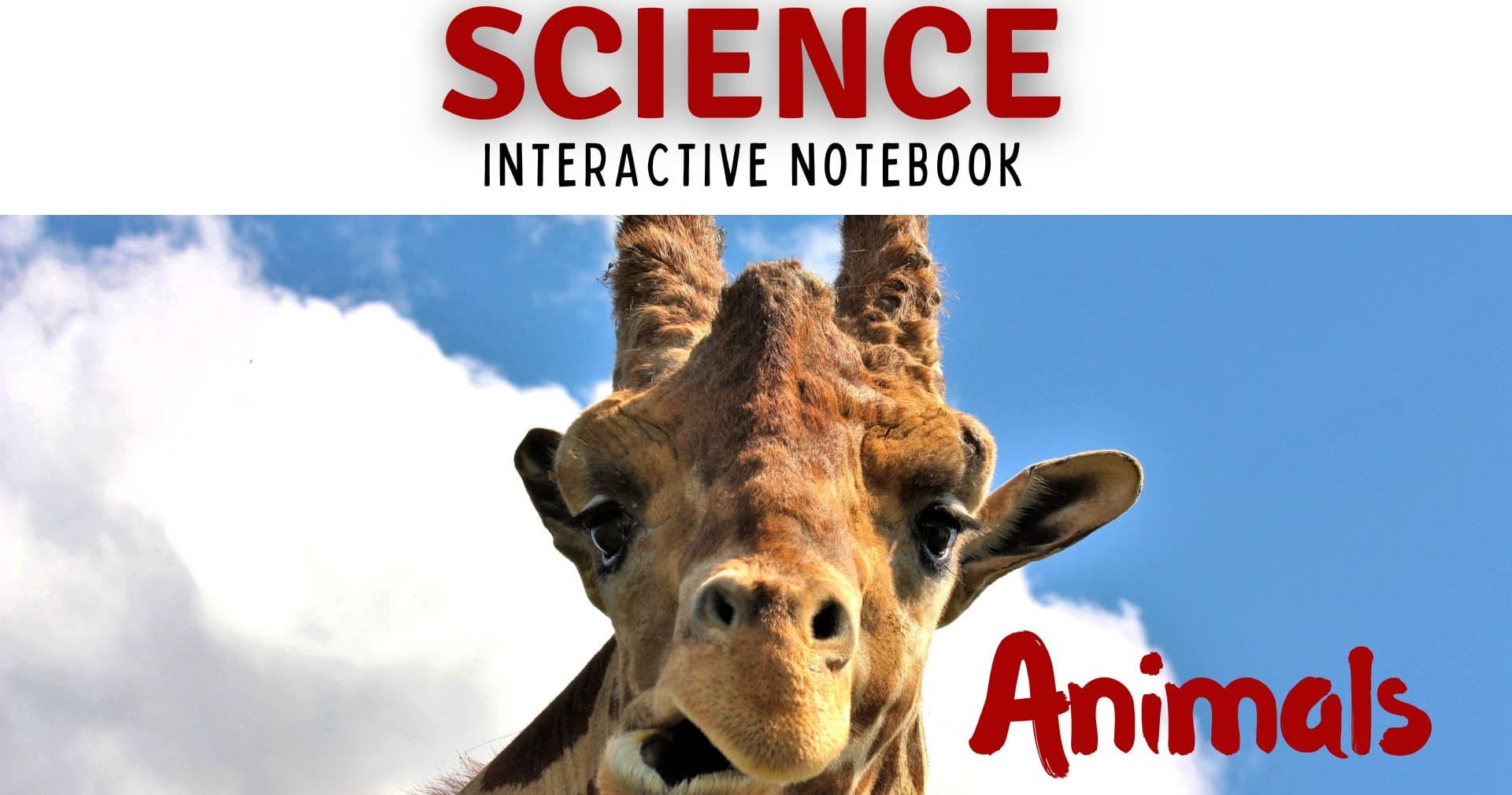 Science & Nature Class - Sci & Nature