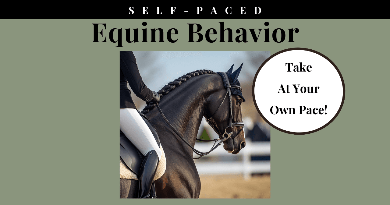 Science & Nature Class - Equine Behavior